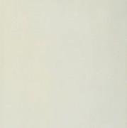 Керамогранит Bianco Pav 31.5 x 31.5 см 