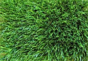 Трава искусственная "Deco" 50 КМ2