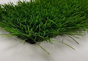 Трава искусственная "Pelegreen" 50